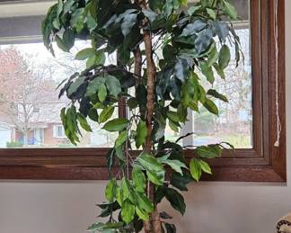 Artificial Ficus Tree in Woven Basket