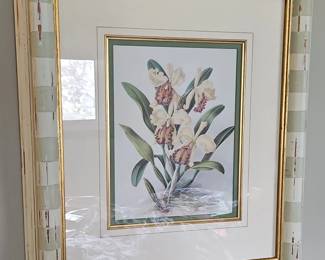 Orchid botanical print