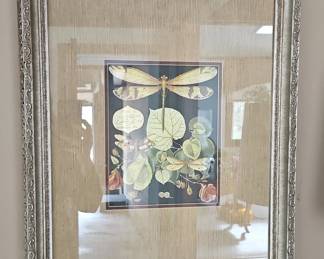 Framed Insect Print