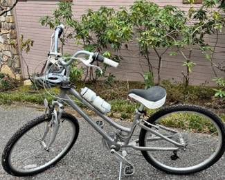 SUEDE BIKE WITH HELMET