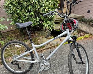 SUEDE BIKE WITH HELMET