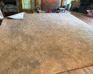 2nd large area rug