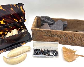 Sperm Whale Teeth, Shark Teeth & Slate Rock In Vintage Tortoiseshell & Breakstones Boxes Lot #: 151