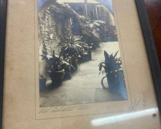 Delacroix signed French Quarter patio photograph