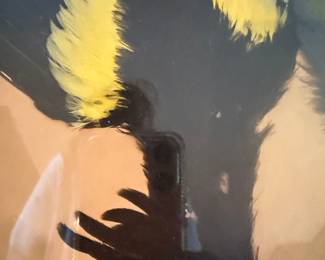 Framed Bird Feather Art