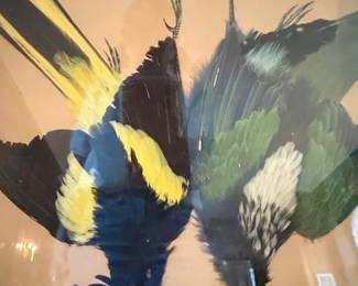 Framed Bird Feather Art