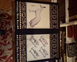 Codex Seraphinianus (2 Volumes) by Luigi Serafini, Franco Maria Ricci Edition