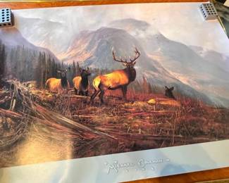 Michael Coleman Print