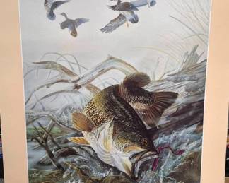 Terry Doughty Prints