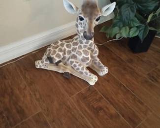 Adorable giraffe 