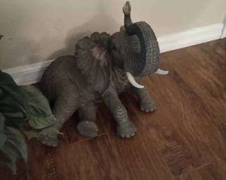 Adorable elephant 