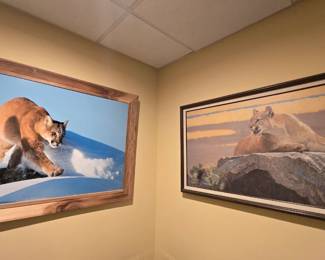 Wildlife photography and art