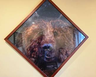 Large Bear print custom frame