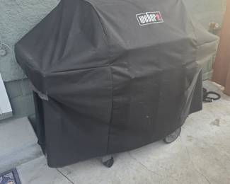 Weber grill natural gas