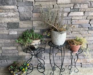 Black Metal Plant Stands And Plants