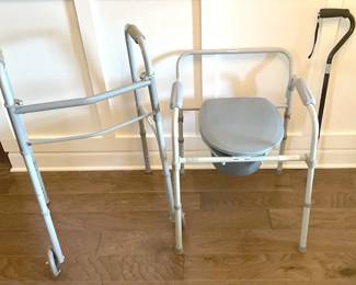 Guardian Equipment And Cane