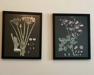 Framed Floral Prints