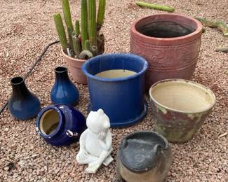 Pots, Cactus,  Frogs