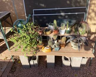 Desert Plants And Two Tiered Plant Stand 