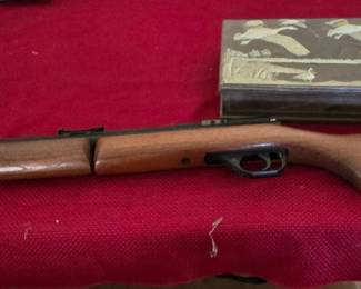 Pellet Gun - 3 Bedrooms and Garage to go - More Pictures Monday