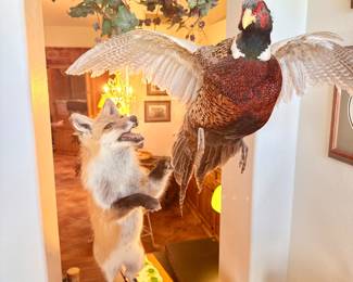 fox and bird mount
