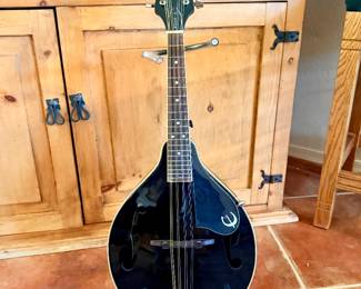 acoustic mandolin 