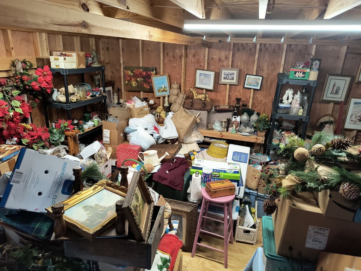 Who knows what we will find in the shed!!