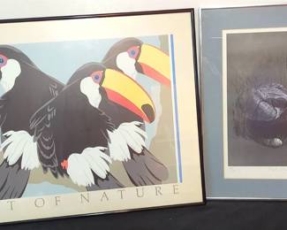 Framed Bird Art