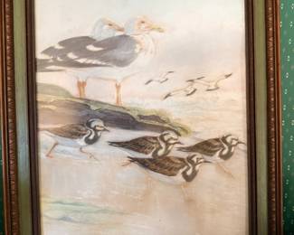 Framed Original Pastelsseagull drawing