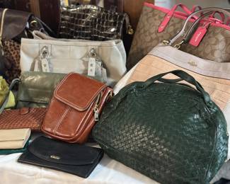 Michael Kors, Coach, Bottega, Alligator purse 