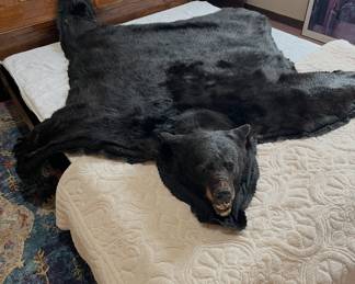 83" x 70" bear rug 