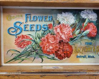 Antique DM Ferry & Co flower seed box with chromolithographed label