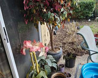 att.T YPUwb5MeeY6YJef227R Zav9BGQl0rkgRwbugLWdk