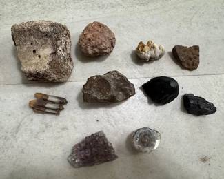 Fossils, stones