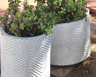 2 Glazed Pots WElephant Bush