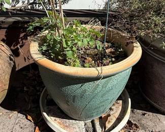Textured Ceramic Planter with Saucer