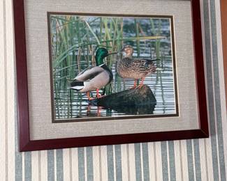 Framed Print: Mallards by Robert Bateman (1985 Federal Duck Stamp)