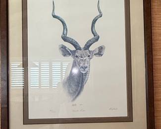 Limited Edition Print "Greater Kudu" by Carl Carlson