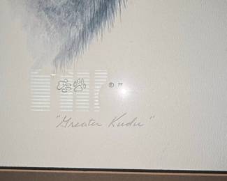 Limited Edition Print "Greater Kudu" by Carl Carlson