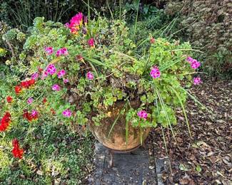 Aged Terracotta Urn Planter with Geraniums