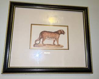 Antique Jaguar Print - Felis Onca Mas