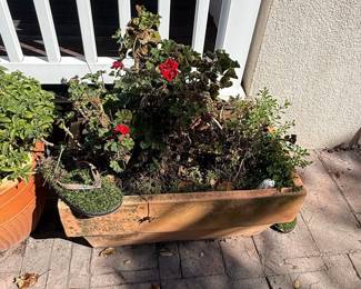 Terracotta Rectangular Planter with Geraniums
