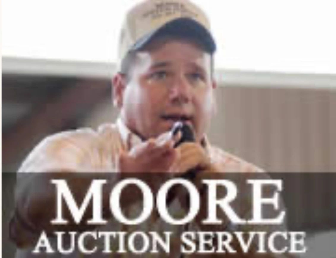 Auction Photo