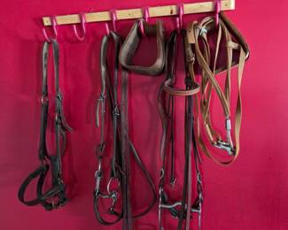 Assorted Horse Bridles and Stirrups with Tack Rack