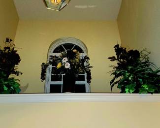 Very large flowers