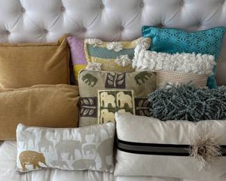 So Many Throw Pillows