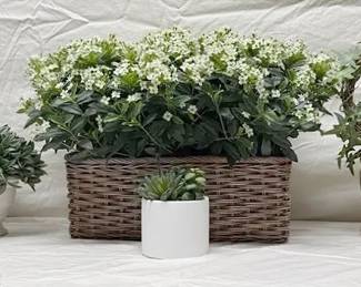 Planters  Faux Plants