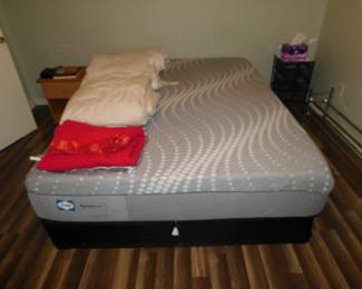 SEALEY QUEEN SIZE BED