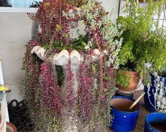 Fountain with beautiful hanging plants