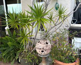 Plants and garden decorations 